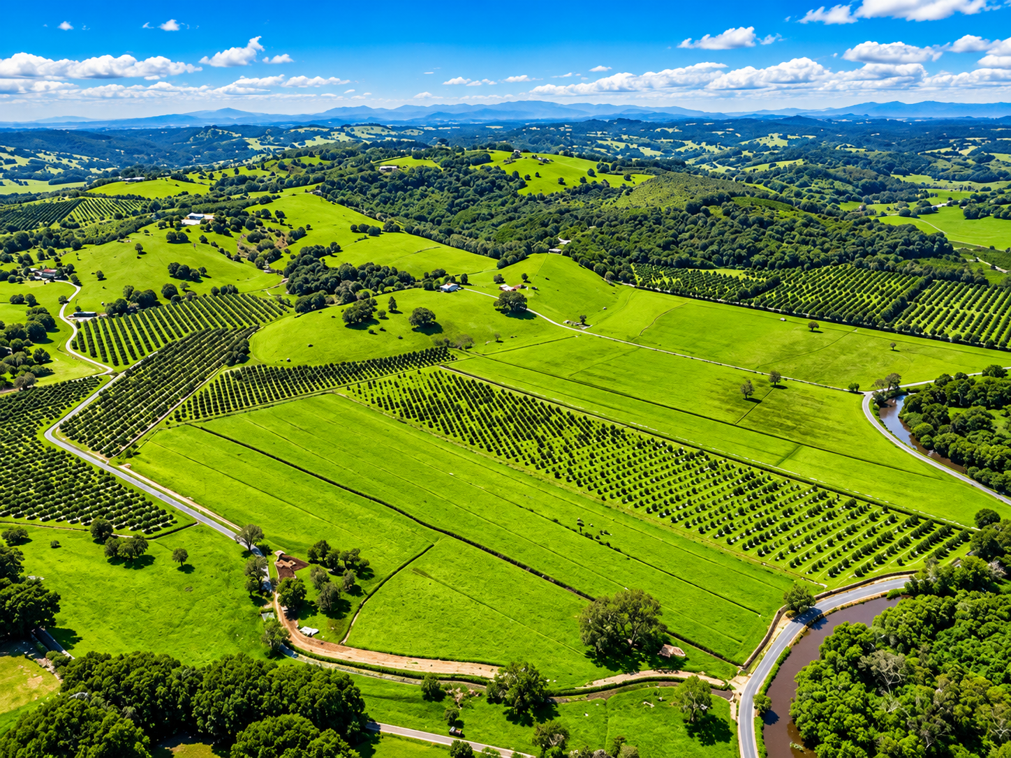 Large Agricultural Estates